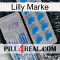 Lilly Brand new15